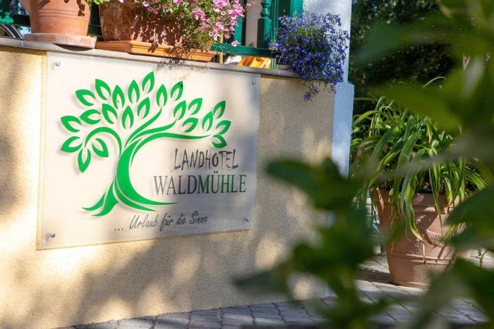 Hotel für 2 Personen, mit Balkon und Terrasse sowie Garten und Pool in Straß im Attergau - 3