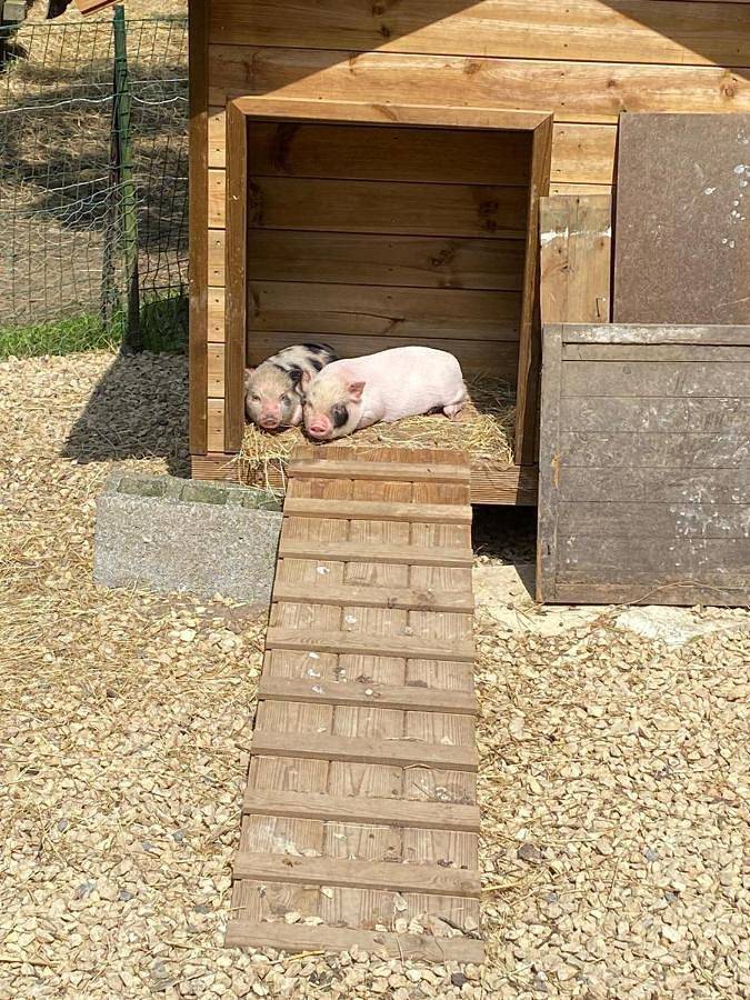 Location de vacances pour 9 personnes, avec jardin ainsi que sauna et vue à Herve - 2