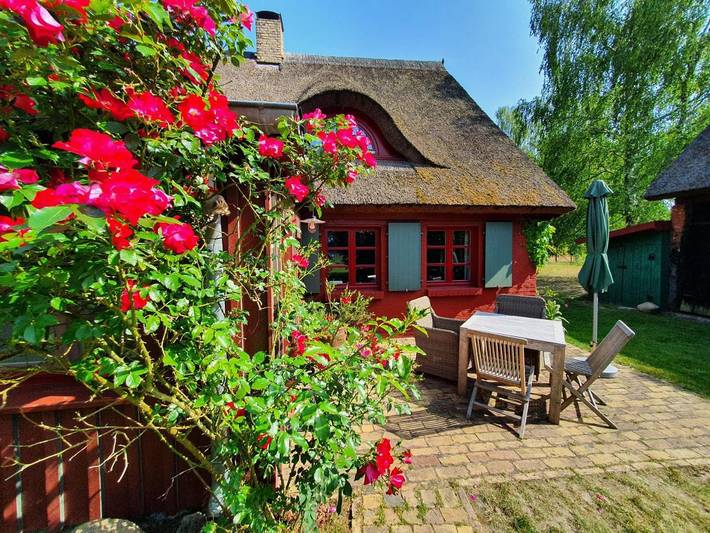 Ferienhaus für 2 Personen, mit Terrasse und Garten sowie Sauna in Ahlbeck (Ueckermünde) - 4