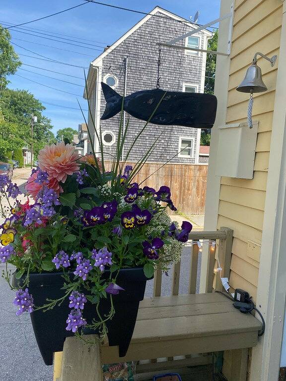 Gîte pour 2 personnes à Newport