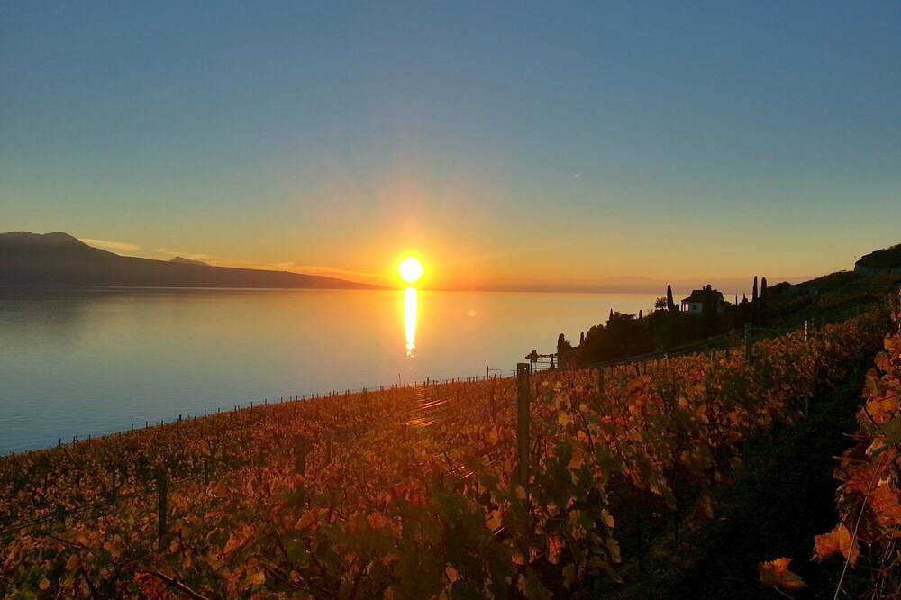 Gîte pour 4 Personnes dans Chardonne, Canton de Vaud