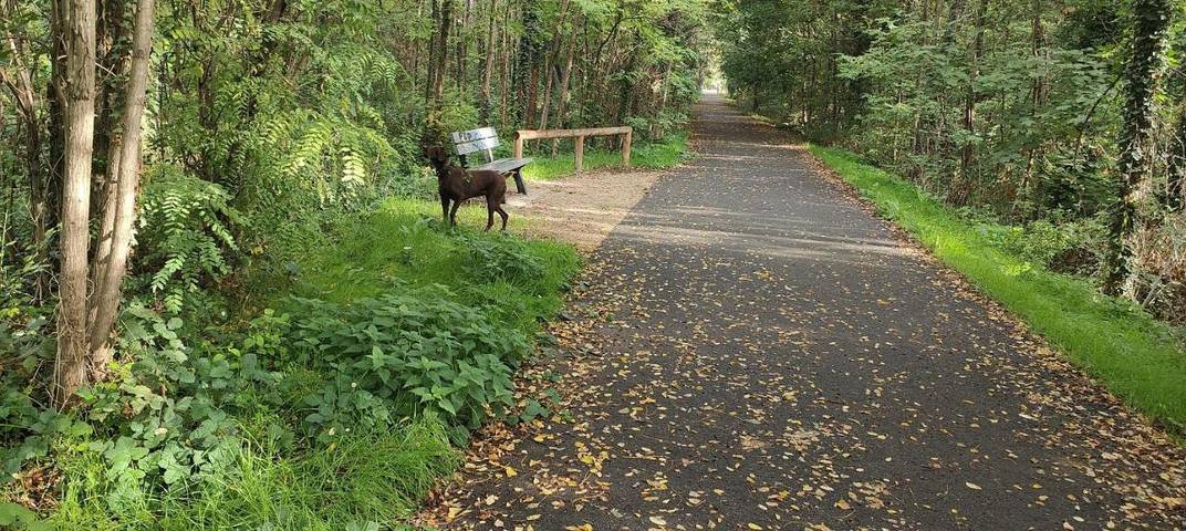 Location de vacances pour 2 personnes, avec jardin à Crest - 3