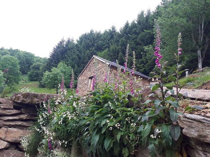 Location de vacances pour 3 personnes, avec Terrasse ainsi que Jardin et Vue à Salles-Curan