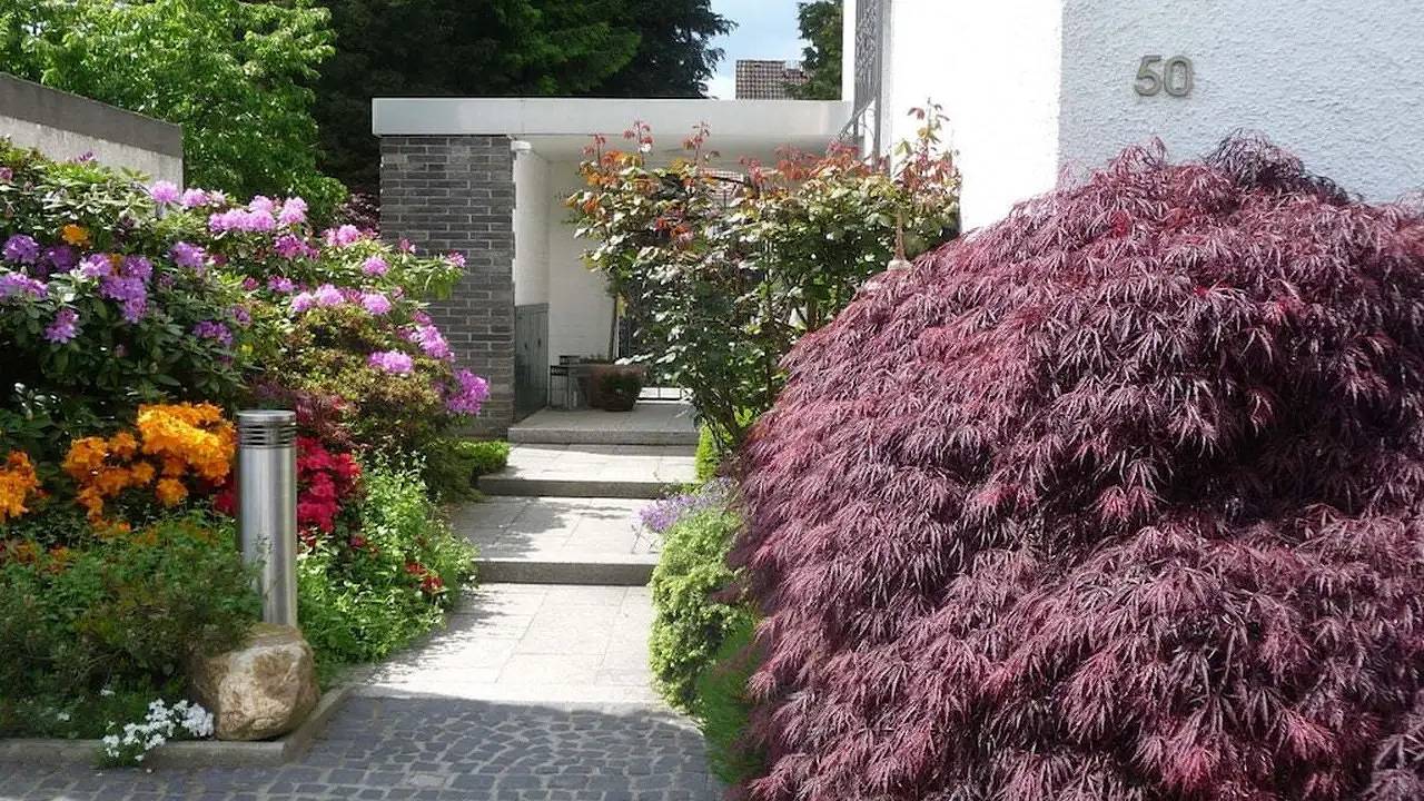 Ferienhaus für 2 Personen (51 m²) in Oberursel in Oberursel (Taunus), Hochtaunuskreis