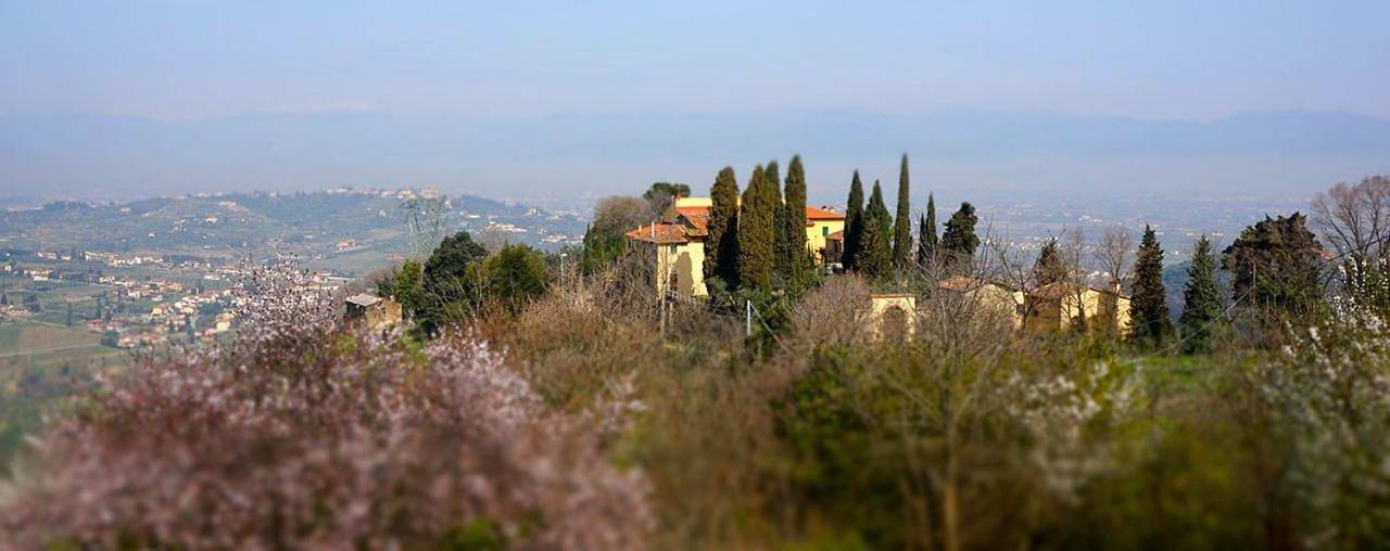Double Room with Shared Bathroom in Carmignano, Provincia di Prato