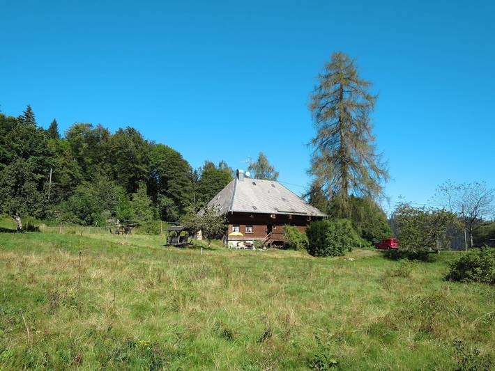 Bistenhof - Bistenhof 649.1 in Hinterzarten, Südschwarzwald