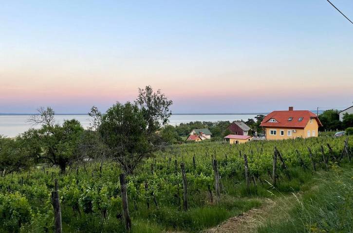 Ferienhaus für 6 Personen, mit Seeblick und Terrasse sowie Garten und Ausblick