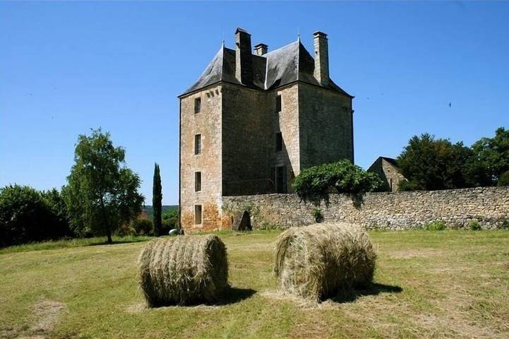 Schloss für 12 Personen, mit Garten und Pool sowie Terrasse - 1