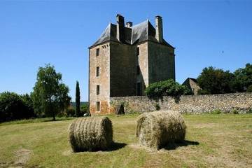 Château pour 12 personnes, avec jardin ainsi que terrasse et piscine en Dordogne