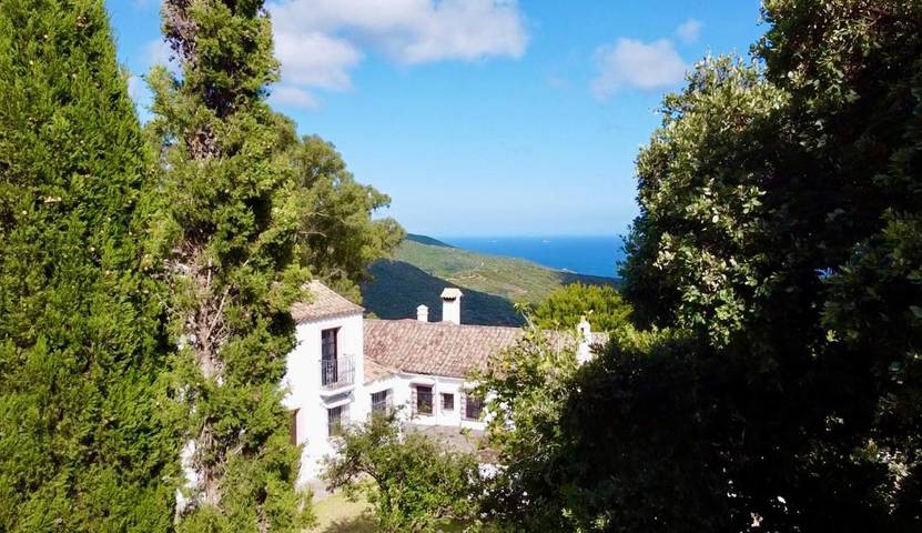 Casa rural para 12 personas, con Balcón y Terraza además de Jardín y Piscina en Tarifa - 4