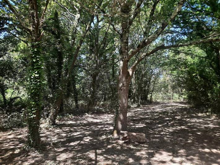 Camping pour 2 personnes, animaux acceptés à Dolus-d'Oléron - 3