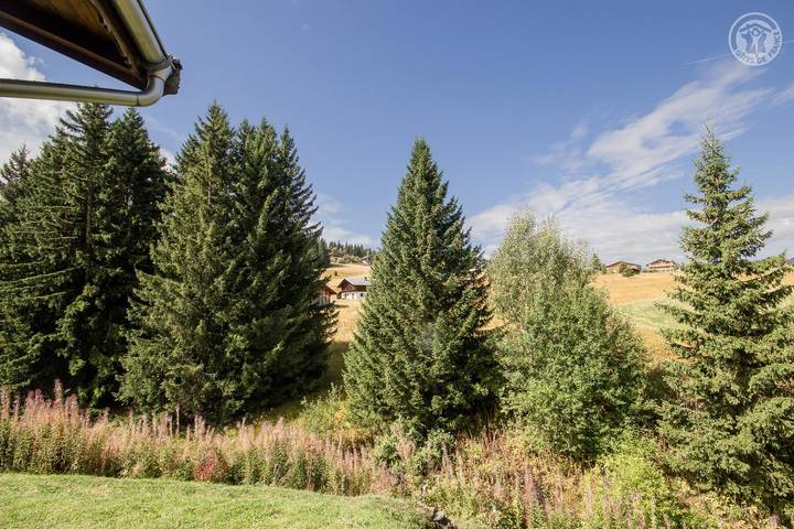 Gîte pour 10 personnes, avec jardin, animaux acceptés dans Bisanne 1500 - 3