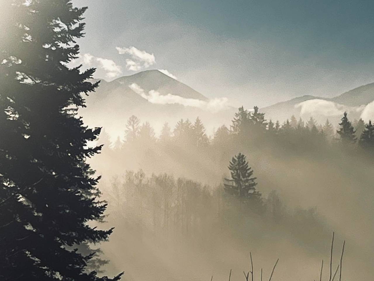 Ganze Ferienwohnung, Chalet Murnau - Gartenwohnung in Westried, Murnau am Staffelsee