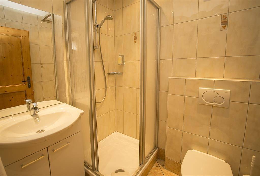 Ganze Ferienwohnung, #3 Edelweiß mit Wiesenblick (2-8 Pers./2 Sz,1 Wsr) in Flachau, Ski Amadé