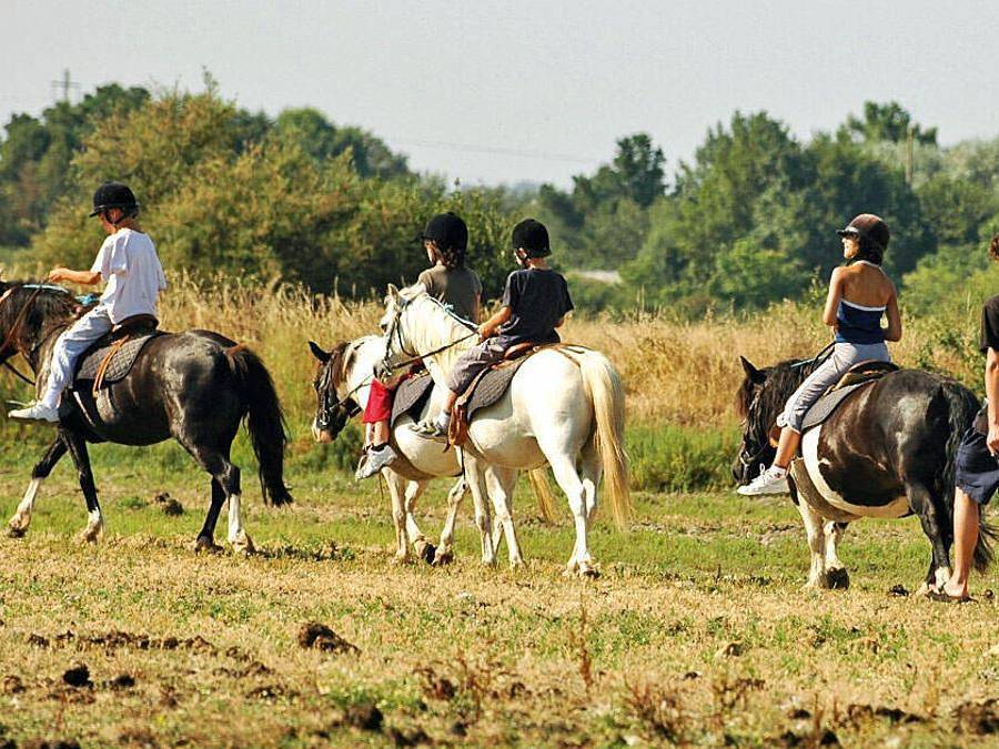 Camping Les Embruns d'Oléron - Mobilhome 6 personas - Classic | 3 Dormitorios | 6 Pers. | Terraza elevada in Le Château-d'Oléron, Côte de Beauté