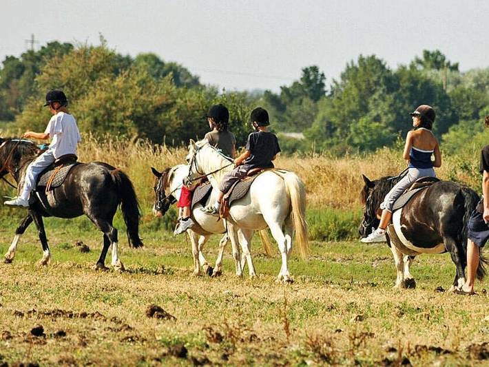 Camping pour 6 personnes, avec bassin pour enfant sur l' Île d'Oléron