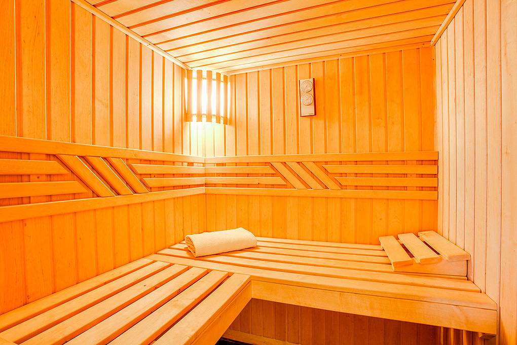Holiday home for 12 people with sauna in Les Masses, Vex