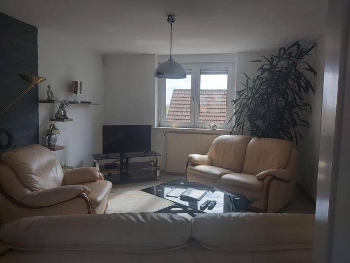 Location de vacances pour 10 personnes, avec jardin et vue, animaux acceptés dans Schaeffersheim