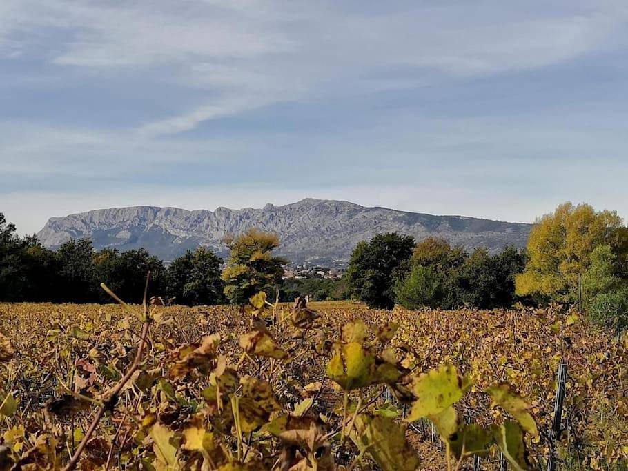 Appartement entier, Appartement entre Provence verte et mer in Pourcieux, Région de Brignoles