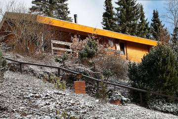 Chalet für 4 Personen in Willingen