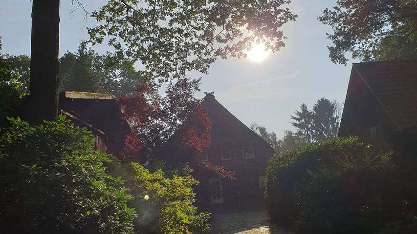 Ferienhaus für 6 Personen, mit Garten in Landkreis Heidekreis - 4