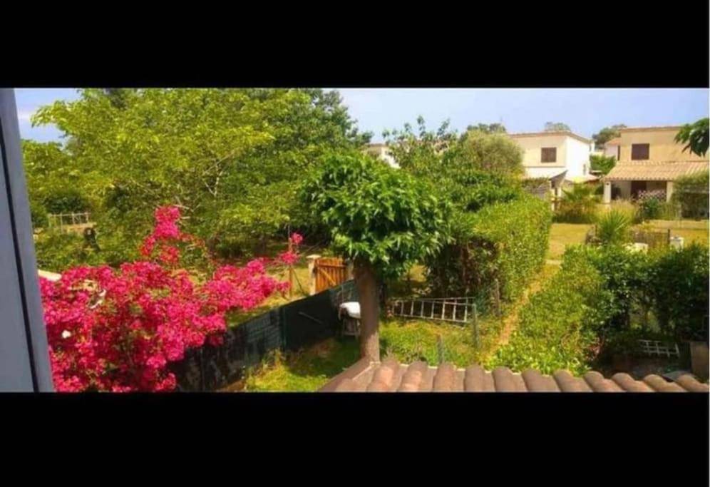 Casa Serena avec accès direct mer, jardin et barbecue in Poggio-Mezzana, Corte und Umgebung