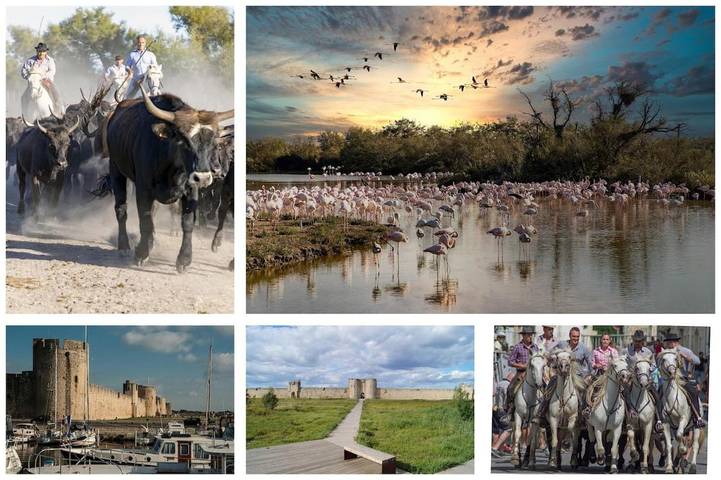 Gîte pour 2 personnes, avec vue ainsi que piscine et jardin à Arpaillargues-et-Aureillac - 2