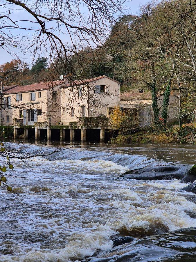 Location de vacances pour 12 personnes, avec terrasse et vue, adapté aux familles à Mortagne-sur-Sèvre - 3