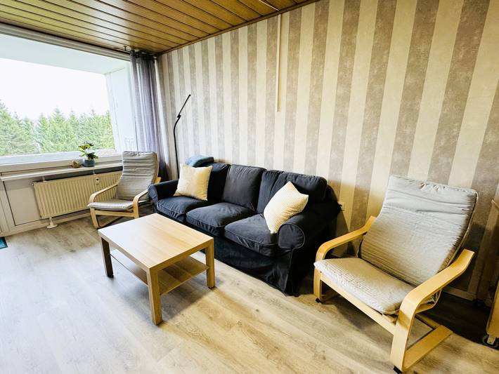 Ganze Ferienwohnung, Fewo Hochwald Hahnenklee in Hahnenklee, Goslar
