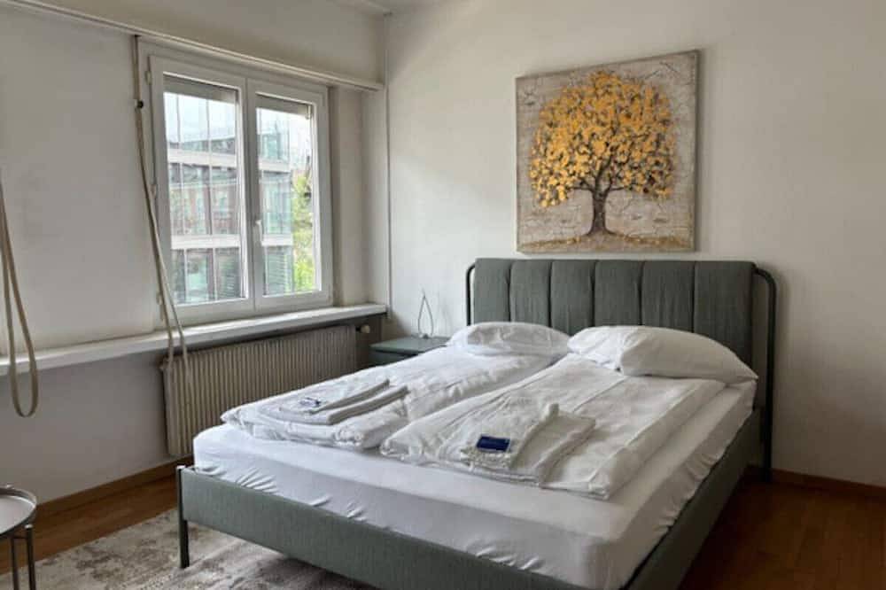 Ganze Wohnung, Cozy studio near Opera (Cross 3) in Zürich Zustellkreis, Zürich