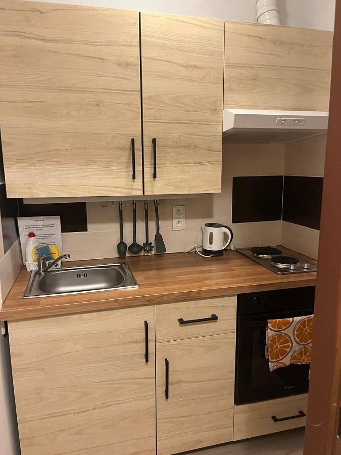 Bnb für 3 Personen, mit Terrasse und Whirlpool sowie Garten und Sauna in Elbsandsteingebirge - 2