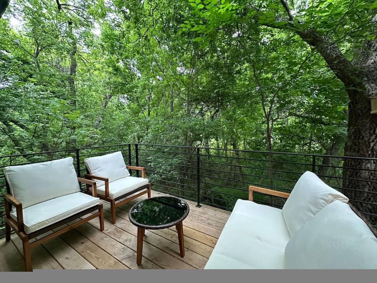 Wellness Retreat, Cold Plunge, Sauna, & Greenbelt in Austin, Condado de Travis