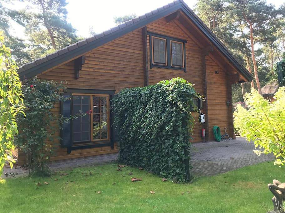Houten chalet/bungalow in het bos, sauna, jacuzzi in Nationaal Park De Groote Peel
