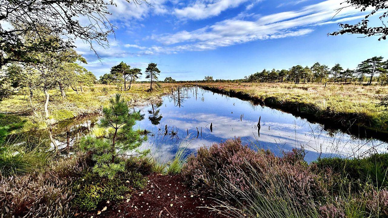 Ganze Ferienwohnung, Ferienwohnung für 4 Personen (73 m²) in Schneverdingen in Schneverdingen, Landkreis Heidekreis