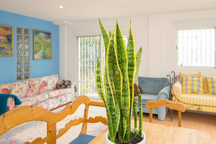 Apartamento entero, Apartamento vacacional "El Descanso" con vistas al mar, piscina compartida y Wi-Fi in La Merced, Campello