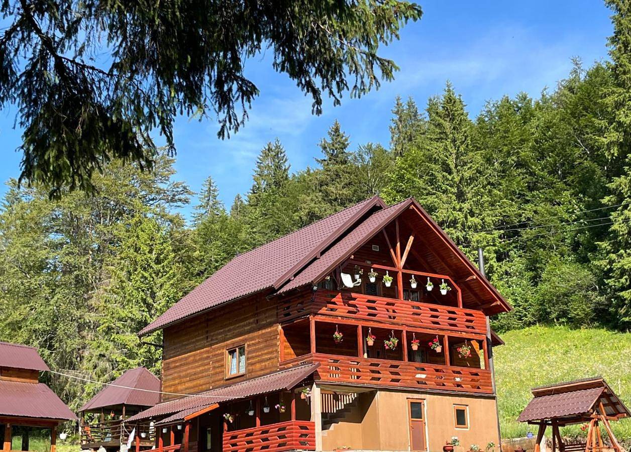 Cabana Sânziana in Alba (Romania)