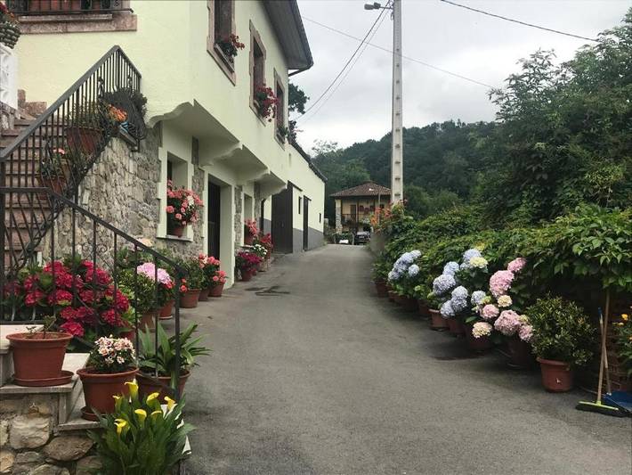 Apartamento para 5 personas, con Terraza además de Jardín y Vistas en Arriondas