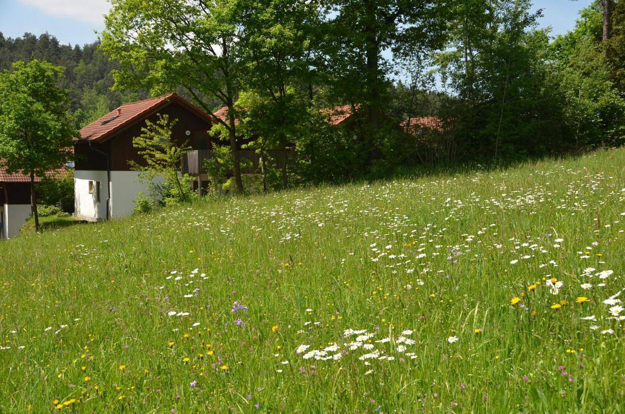 Ganze Wohnung, Ferienwohnung Wildgatter in Grafenwiesen, Ostbayern