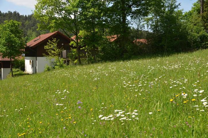 Ferienwohnung für 4 Personen, mit Balkon und Terrasse sowie Garten und Seeblick in Grafenwiesen - 4
