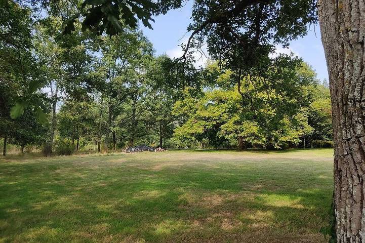 Location de vacances pour 8 personnes, animaux acceptés à Guignen - 3