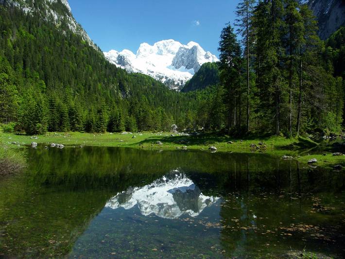 Ganze Ferienwohnung, Apartment Bleisch - Apartment Gosaukamm 35m² in Gosau, Dachstein Salzkammergut