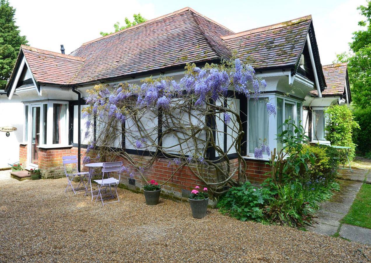 Small Double Room in Lyndhurst, Hampshire