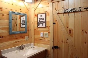 Vacation Home for 2 Guests in Blue Ridge Mountains, Maryland, Picture 2