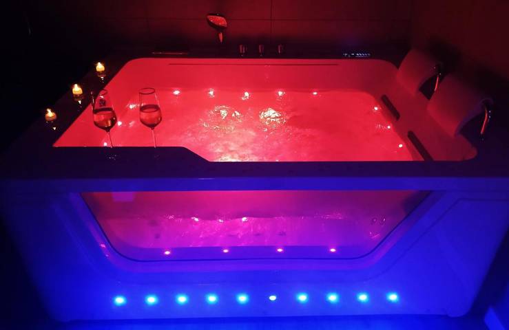 Hôtel pour 2 personnes, avec jacuzzi et jardin à Saint-Philbert-de-Bouaine - 3