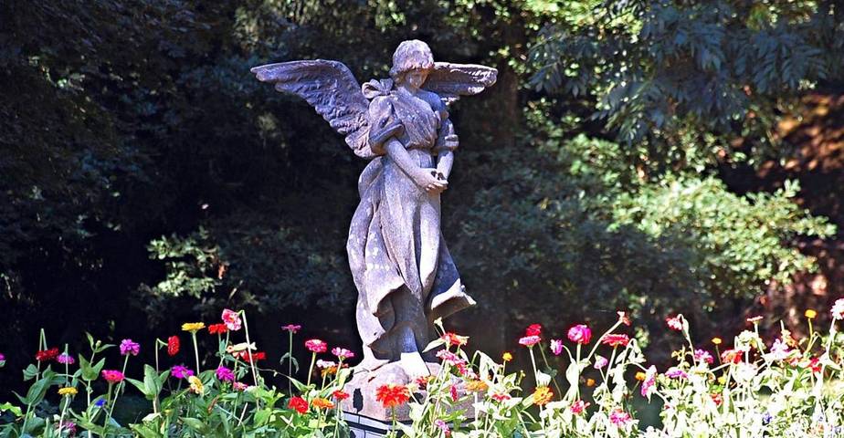 Maison de campagne pour 11 personnes, avec jardin et vue à Comblessac - 4