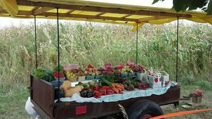 Cabin for 2 Guests in Seneca Lake, Seneca County, Picture 3