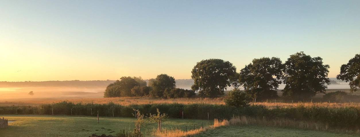 Ferienhaus für 6 Personen, mit Garten und Terrasse sowie Sauna in Hohwacht - 2