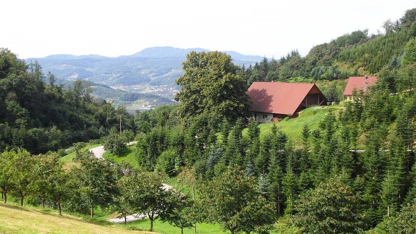 Ferienhaus für 2 Personen, mit Garten und Sauna in Mittlerer Schwarzwald - 4