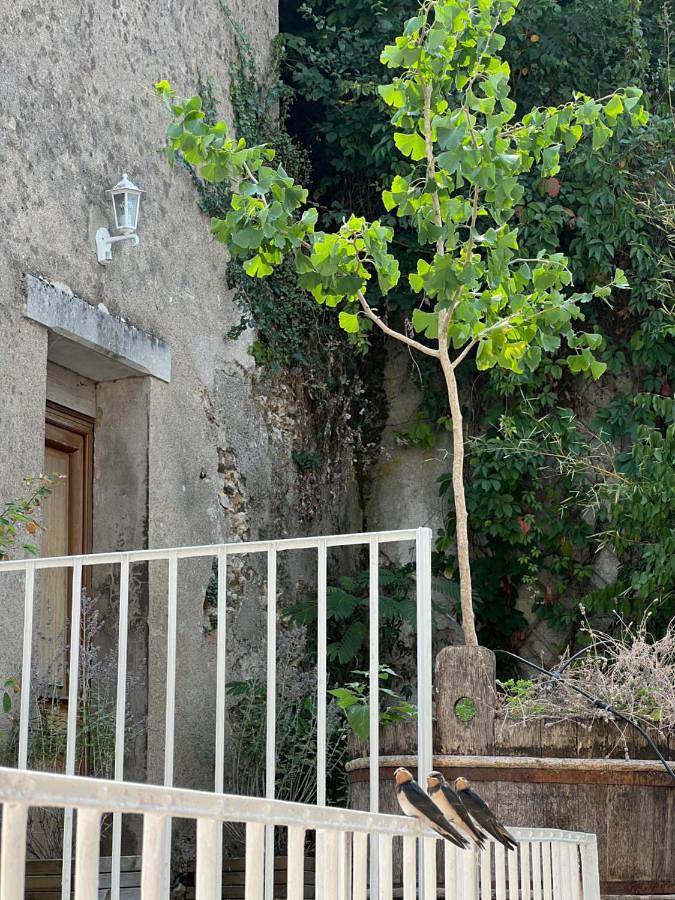 Appartement de vacances entier, Le Motu Loire in Chaumont-sur-Loire, Région de Blois