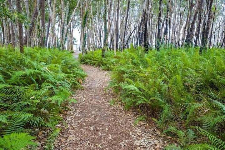 Holiday rental for 5 people, with terrace and pool as well as hot tub in Fraser Island